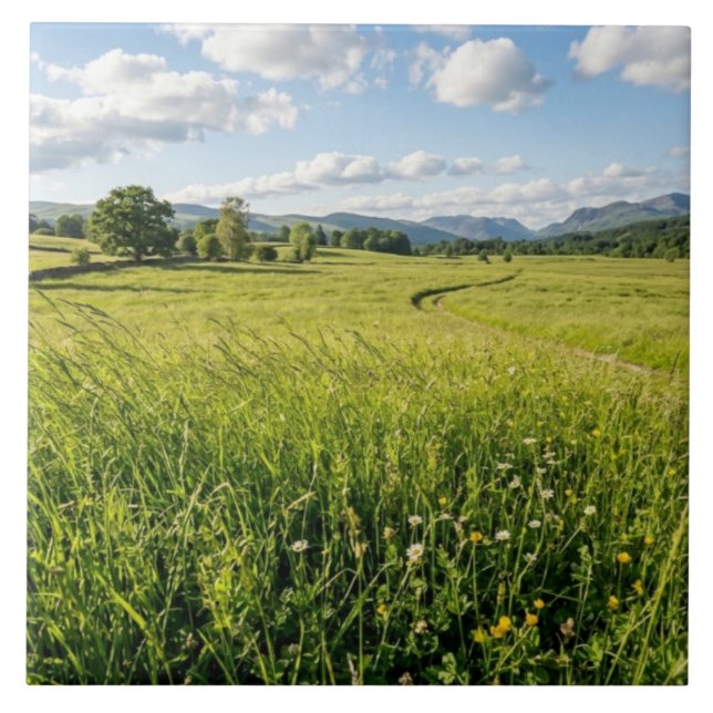 Ceramic Tile (Frente)