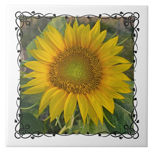 Ceramic Tile (Frente)