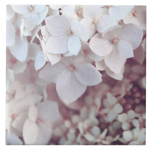 Ceramic Tile Blush Pink Hydrangea Floral Botanical (Frente)