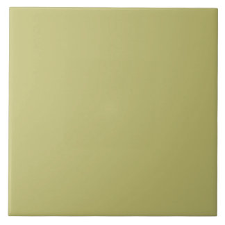 Ceramic Tile in Pastel Green