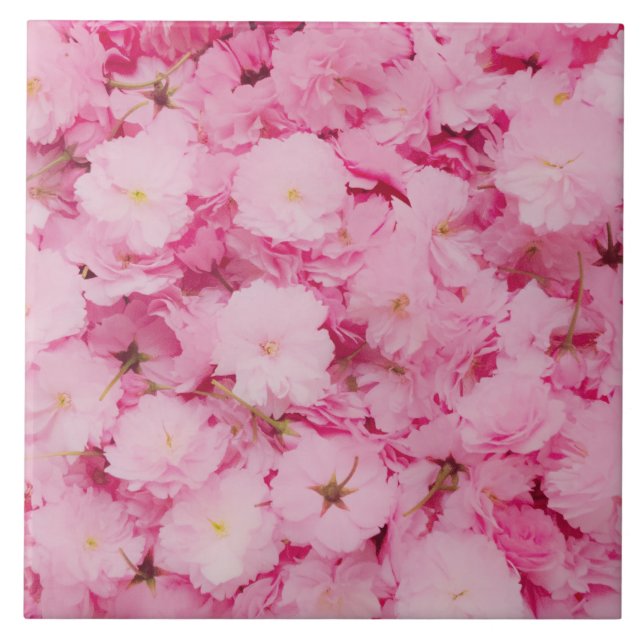 Ceramic Tile Pink Cherry Blossom Floral Botanical (Frente)