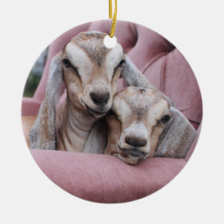 Cerâmica Abacate & ornamento do feriado de Smooshie