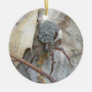 Cerâmica Aranha de lobo com Spiderlings & ornamento da
