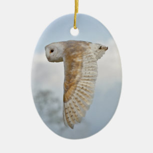 Cerâmica Barn Owl em Ornamento de Voo