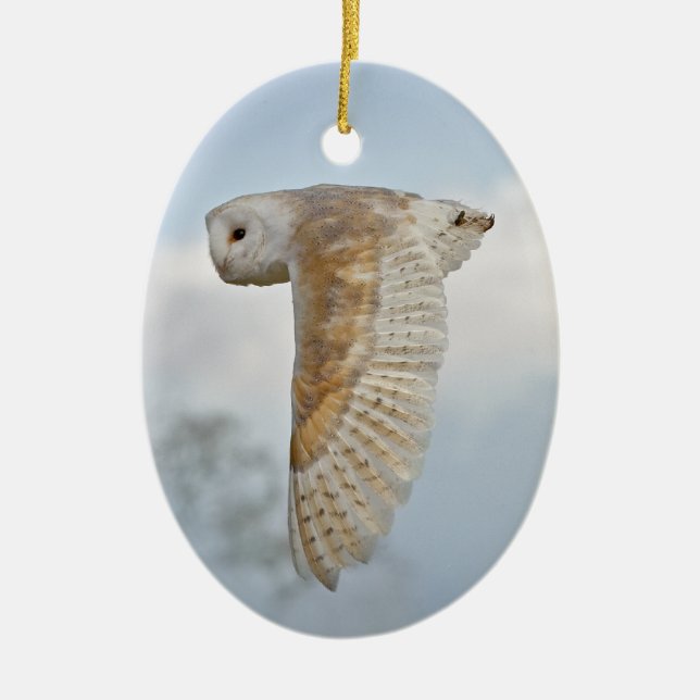 Cerâmica Barn Owl em Ornamento de Voo (Frente)