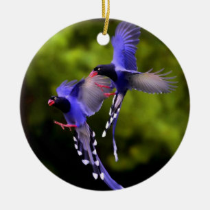 Cerâmica Belas Aves no Ornamento de Árvores de Natal de Vo