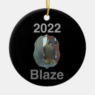 Cerâmica Blaze de Ornamento do Círculo Cerâmico 2022