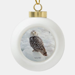 Cerâmica Bola ornamento de Snowy Owl