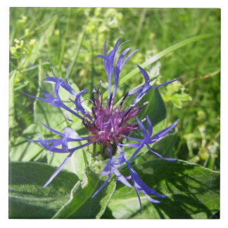 Cerâmica decoração mural, Flor azul