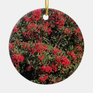 Cerâmica Feriados felizes: Ornamento de Holly da Califórni