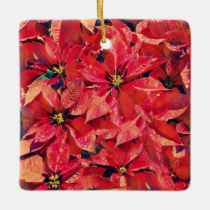 Cerâmica Flores de Fé Isaiah Poinsettia Ornamento