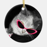 Gato com óculos de sol & o ornamento cor-de-rosa