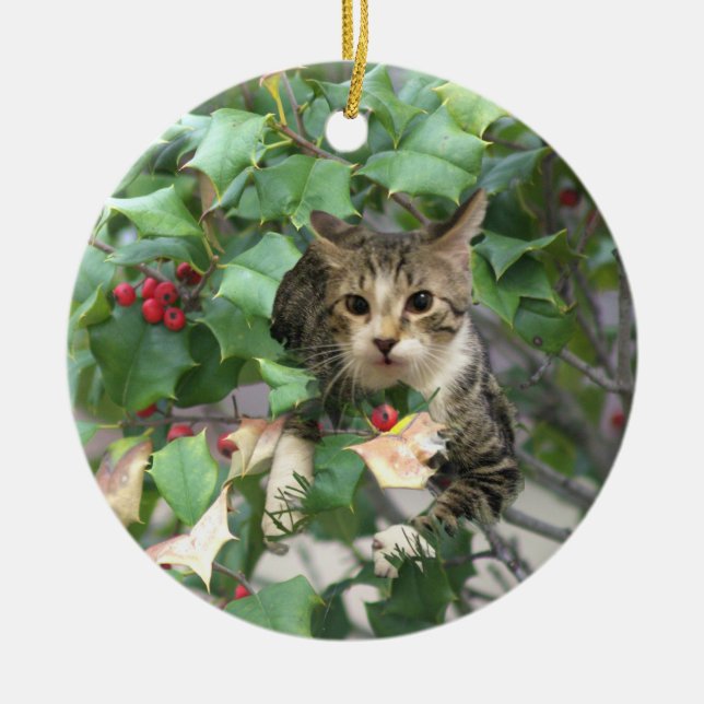 Cerâmica Gato com Ornamento de Berries Holly (Frente)