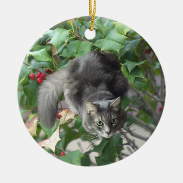 Cerâmica Gato com Ornamento de Berries Holly (Frente)