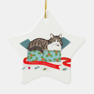 Cerâmica Gato numa caixa de ornamento de árvore de Natal