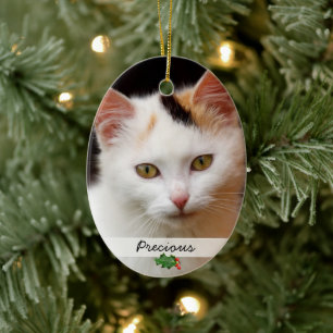 Cerâmica Imagens de Animais de Companhia, Ornamento Duplo