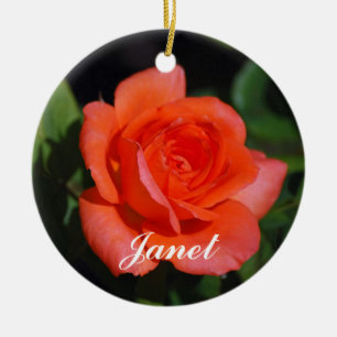 Cerâmica Laranja de Janet e ornamento dos rosas do abricó
