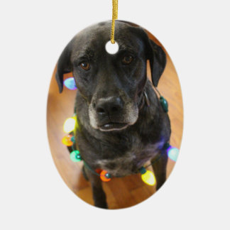 Cerâmica Lefy + Ornamento de Hoiday das luzes