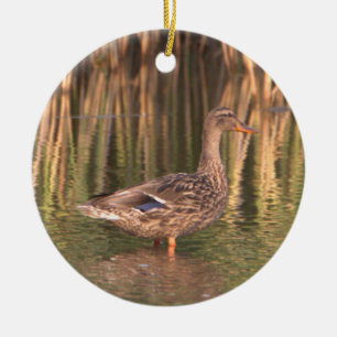Cerâmica Mallard Duck em Ornamento de Água
