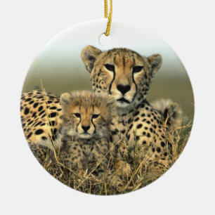 Cerâmica Mamã da chita e ornamento de Cub