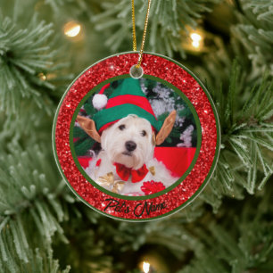 Cerâmica Nome de Foto de Ornamento de Animais de Companhia