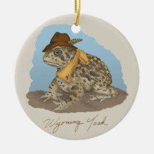 Cerâmica O ornamento do sapo de Wyoming