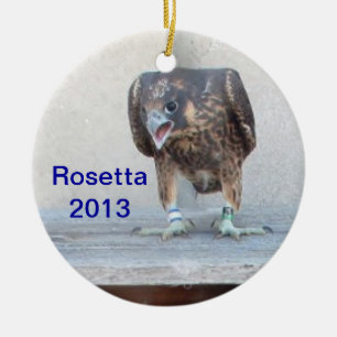 Cerâmica Ornamento 2013 de Rosetta