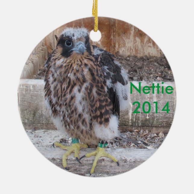 Cerâmica Ornamento 2014 de Nettie (Traseira)