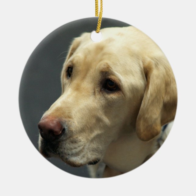 Cerâmica Ornamento amarelo de Labrador (Frente)