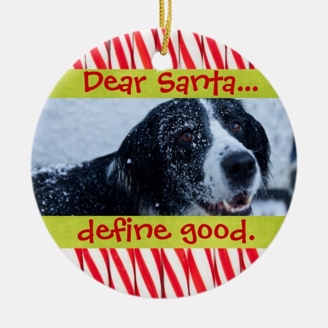 Cerâmica Ornamento bonito da foto do Natal do animal de (Frente)