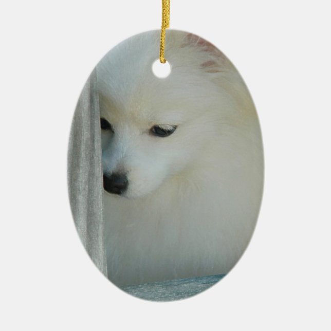 Cerâmica Ornamento branco de Pomeranian (Frente)