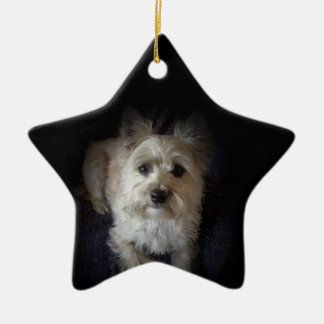 Cerâmica Ornamento canino da estrela do amante cão" de