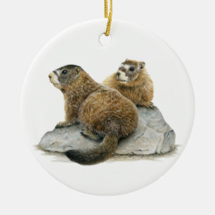 Cerâmica ornamento cerâmico de borda amarela Marmots