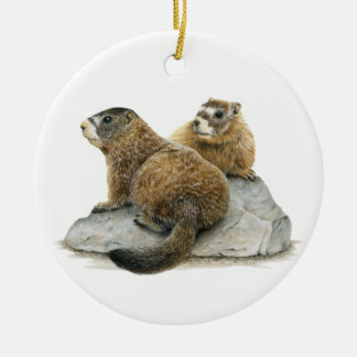 Cerâmica ornamento cerâmico de borda amarela Marmots