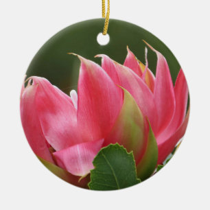 Cerâmica Ornamento Cerâmico de Flor Rosa