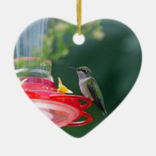 Cerâmica Ornamento cerâmico de Hummingbird Perecido