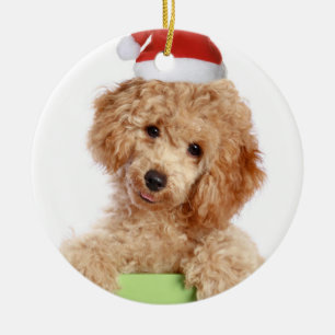 Cerâmica Ornamento cerâmico de Papais noeis de Poodle