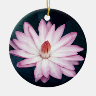 Cerâmica Ornamento cor-de-rosa de Lotus
