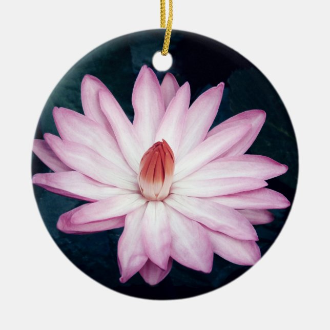 Cerâmica Ornamento cor-de-rosa de Lotus (Frente)
