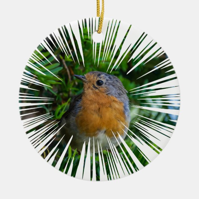 Cerâmica Ornamento da árvore de Natal Robin (Frente)