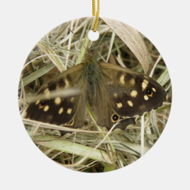 Cerâmica Ornamento da Borboleta de Madeira Específica (Frente)