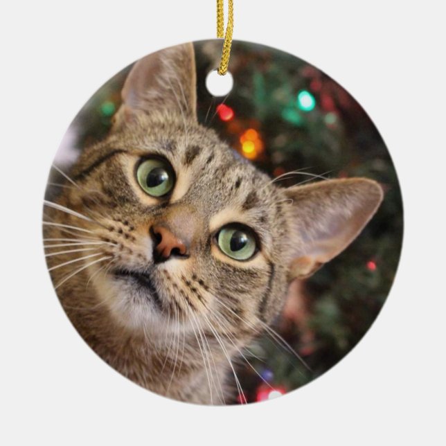 Cerâmica ornamento da Tabby de Natal (Frente)
