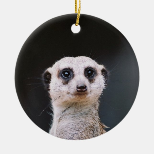 Cerâmica Ornamento da vigia de Meerkat (Frente)