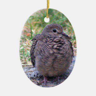 Cerâmica Ornamento das aves de luto