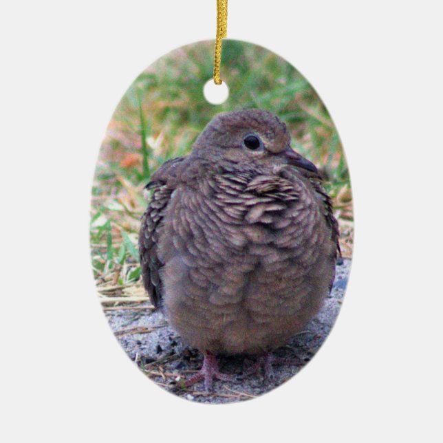 Cerâmica Ornamento das aves de luto (Frente)