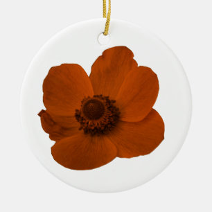 Cerâmica Ornamento de Anêmona Marrom