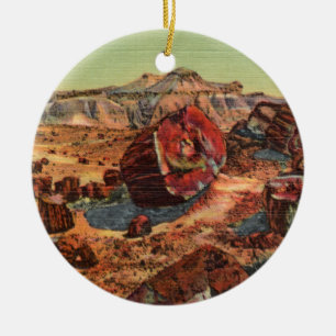 Cerâmica Ornamento de Arizonas de Vintage Florestal Petrifi