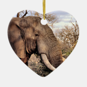 Cerâmica Ornamento de Arte de Vida Selvagem de Elefante