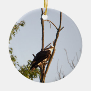 Cerâmica Ornamento de Aves Osprey