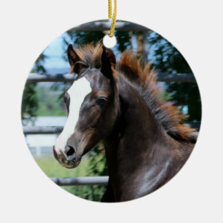 Cerâmica Ornamento de Bebê Morgan Horse